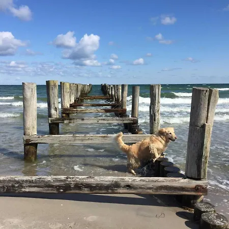 Apartment Residenz Am Strand 5_73 Zingst